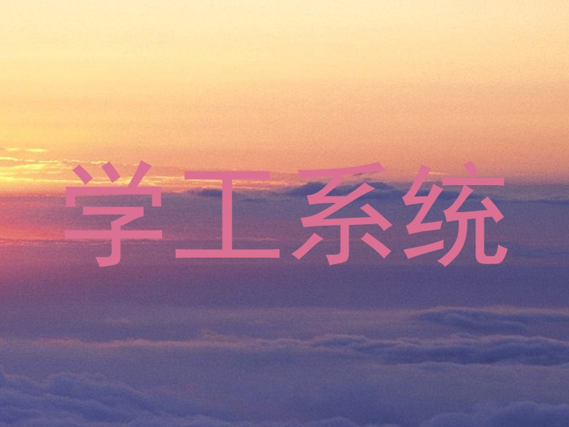 学工系统
