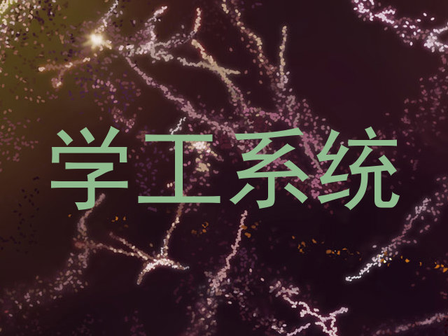学工系统