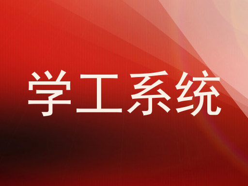学工系统