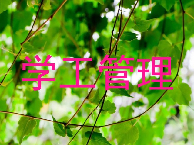 学工管理