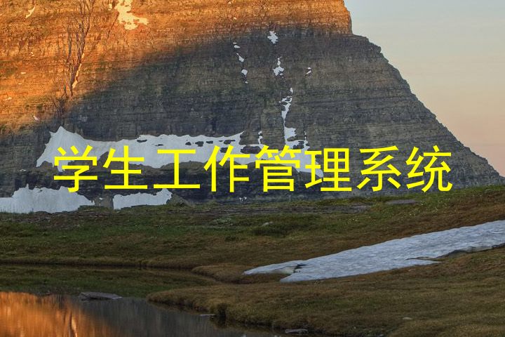 学生工作管理系统