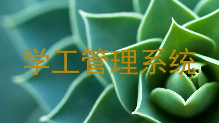 学工管理系统