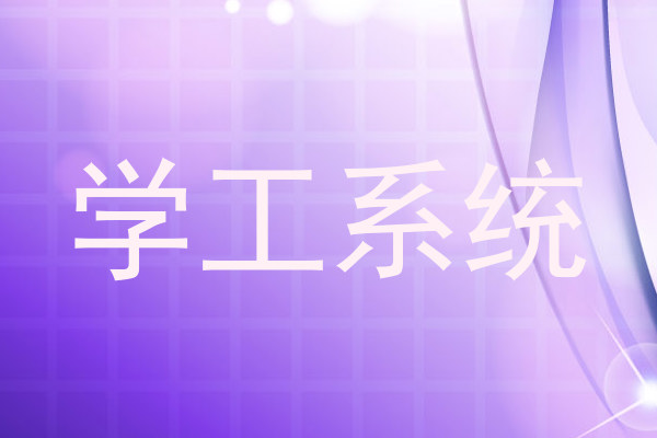 学工系统