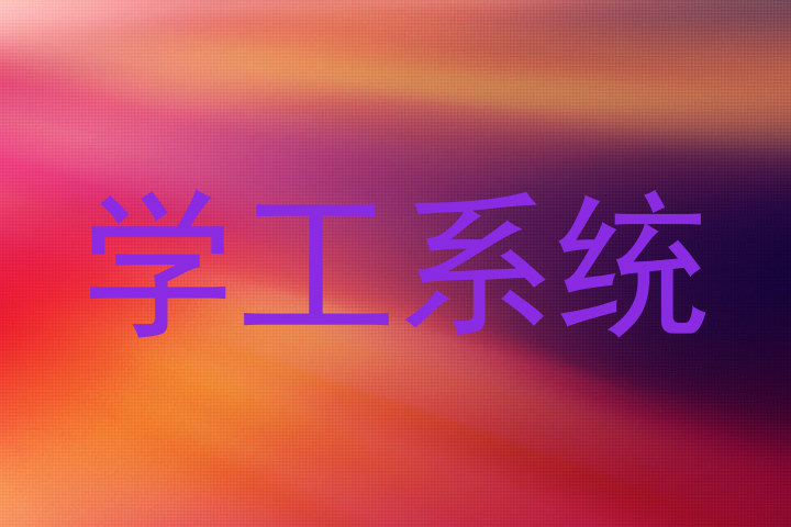 学工系统