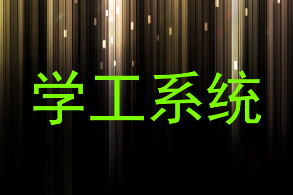 学工系统