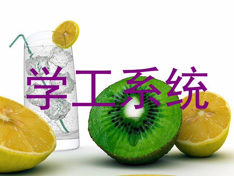 学工系统
