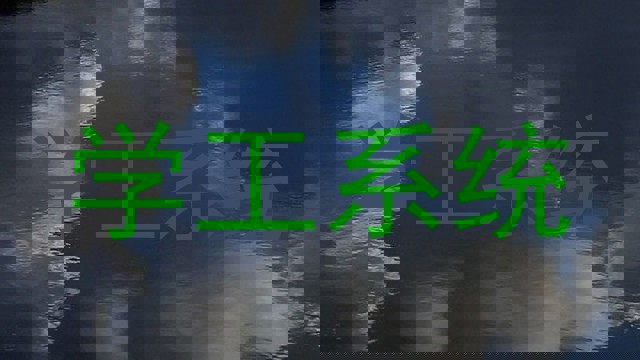 学工系统