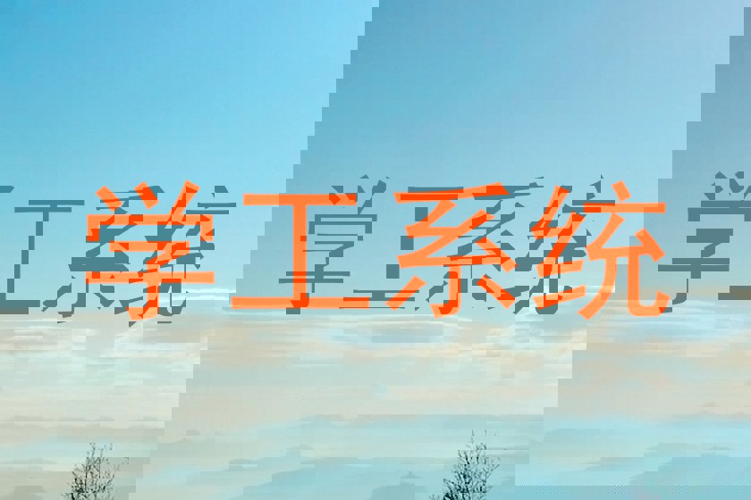 学工系统