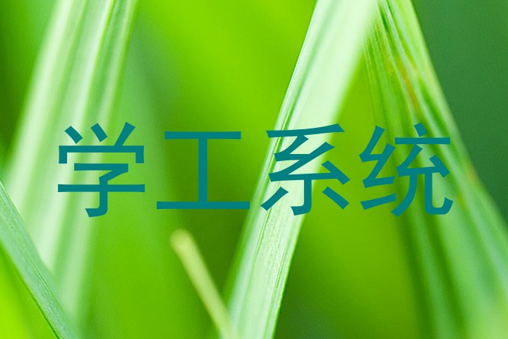 学工系统