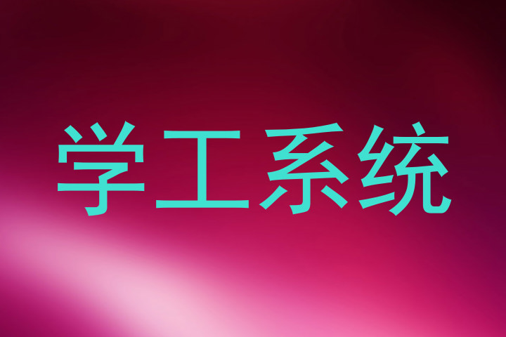 学工系统