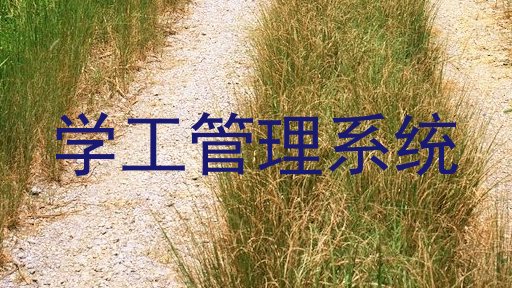 学工管理系统