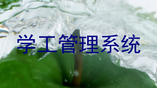 学工管理系统