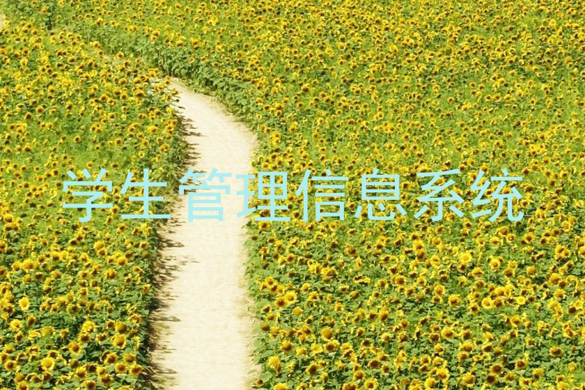 学生管理信息系统