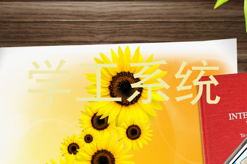 学工系统