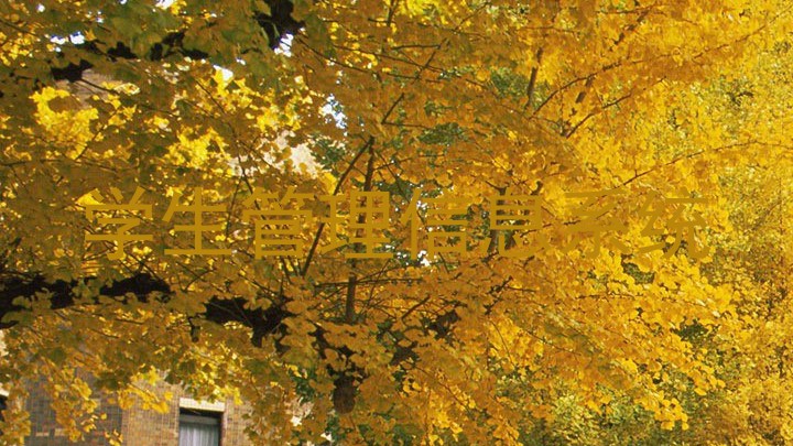 学生管理信息系统