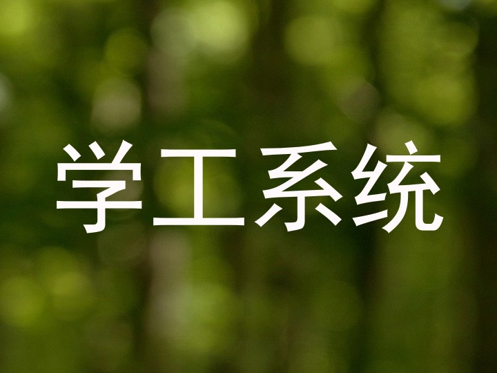 学工系统