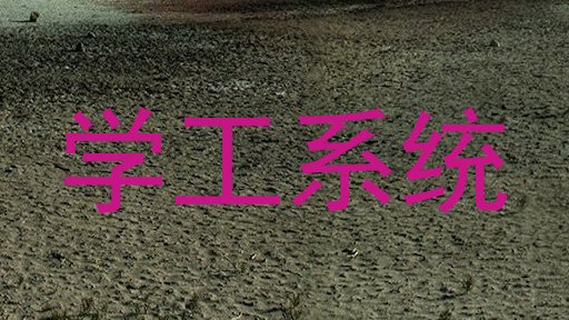 学工系统