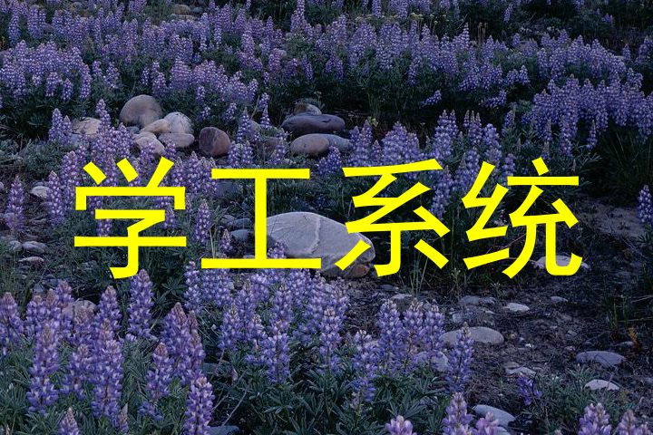 学工系统