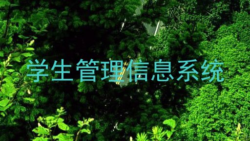 学生管理信息系统