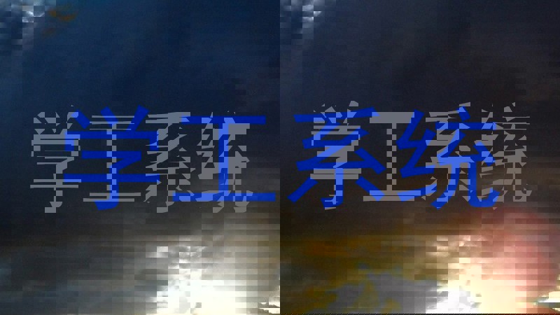 学工系统