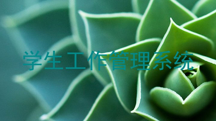 学生工作管理系统