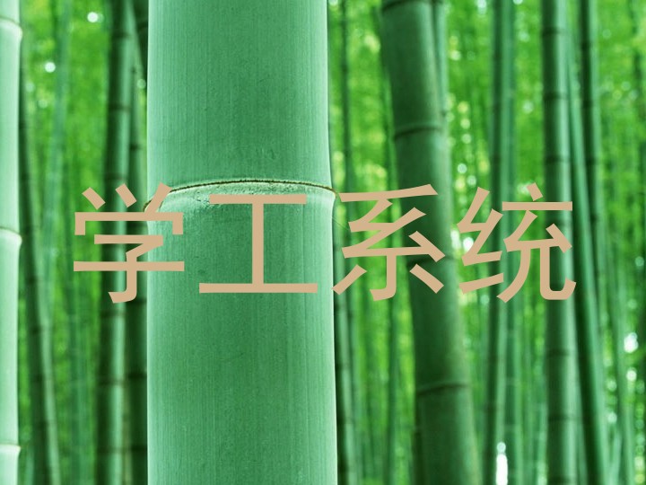 学工系统