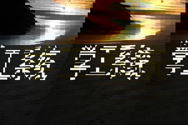 学工系统