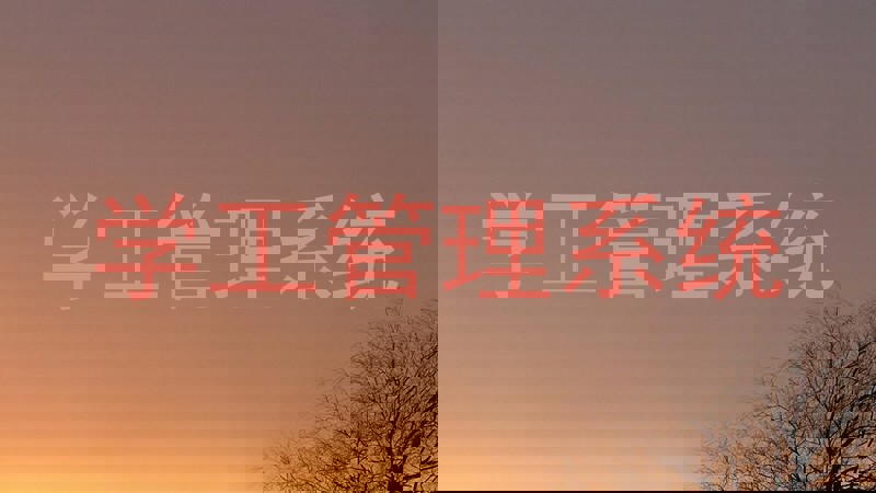 学工管理系统
