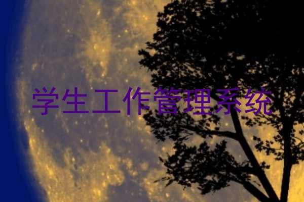 学生工作管理系统