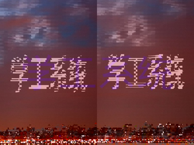 学工系统