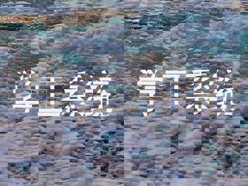学工系统