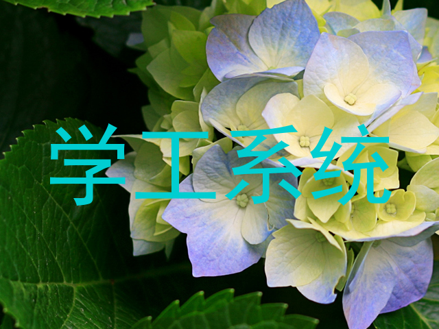 学工系统