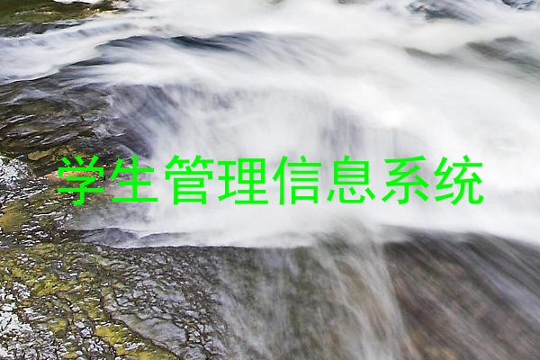 学生管理信息系统