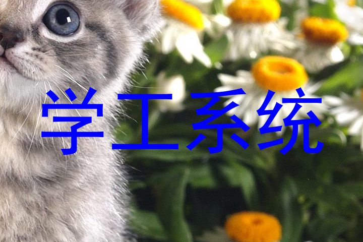 学工系统