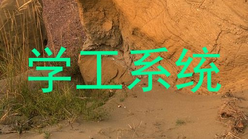 学工系统