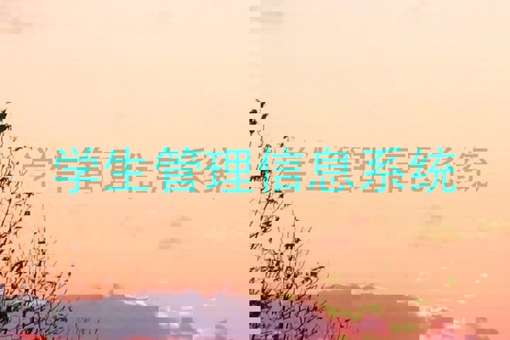 学生管理信息系统