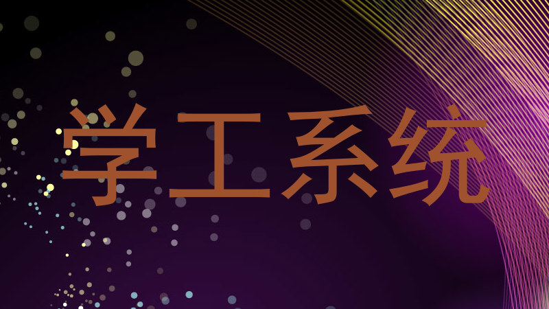 学工系统