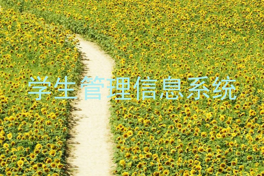学生管理信息系统