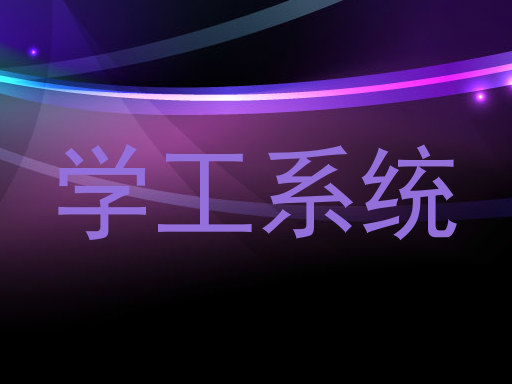 学工系统