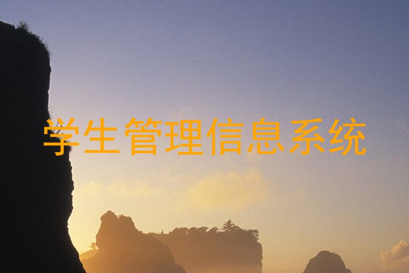 学生管理信息系统