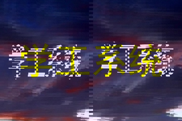 学工系统