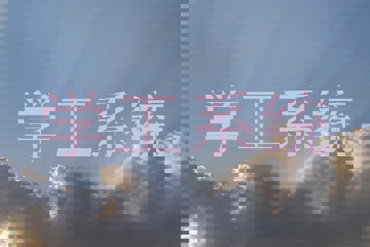 学工系统