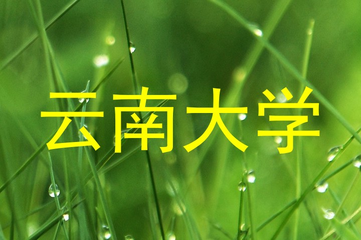 云南大学