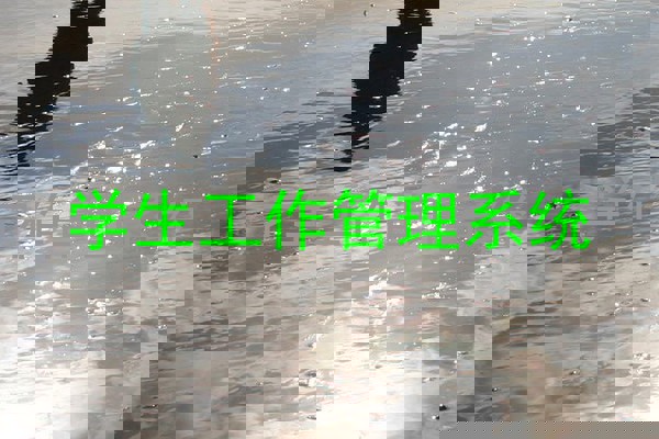 学生工作管理系统
