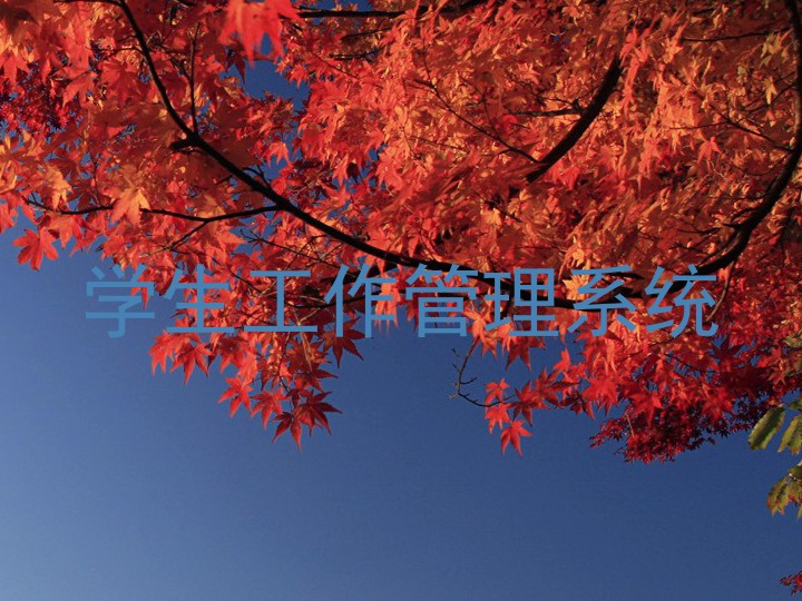 学生工作管理系统