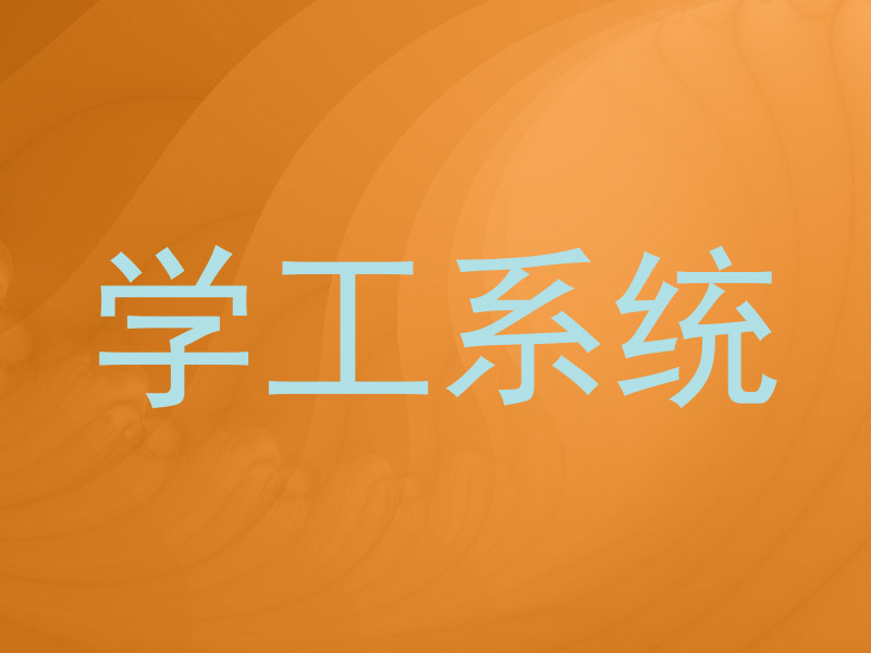 学工系统