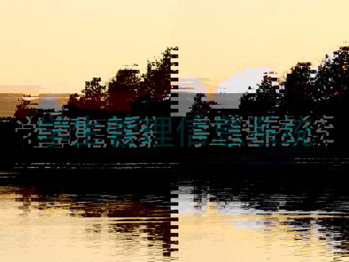 学生管理信息系统