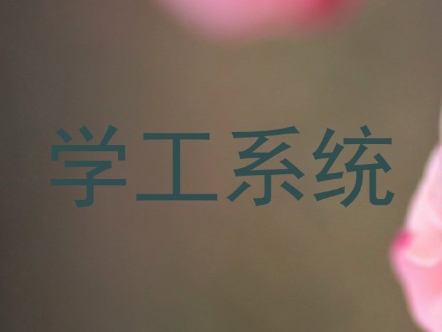 学工系统