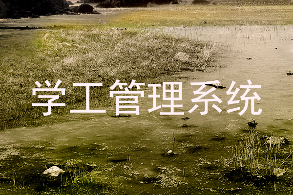 学工管理系统