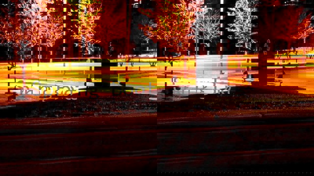 Spring Boot